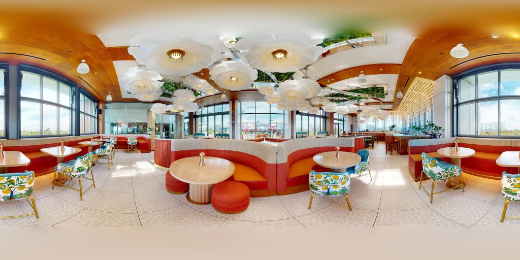 Google Maps Business View